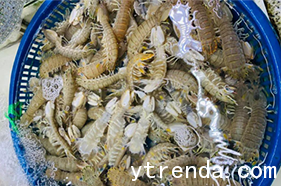好消息！8月1日起，东海海